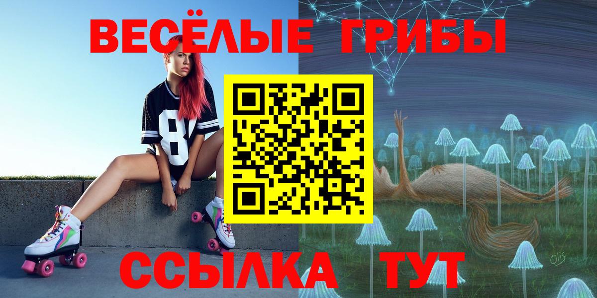 Псилоцибиновые грибы MAGIC MUSHROOMS  Псилоцибиновые грибы мицелий  Вход с VPN  Тихвин 